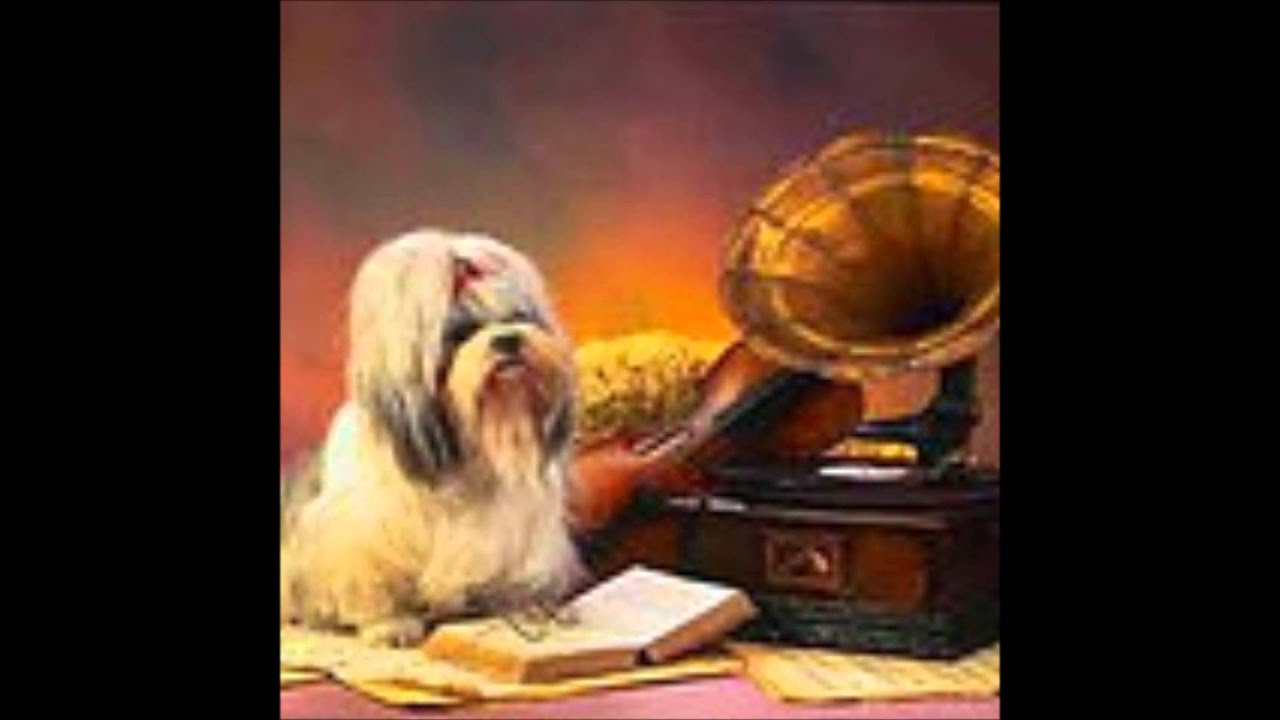 Meisje Van Capri -Jan En Zwaan