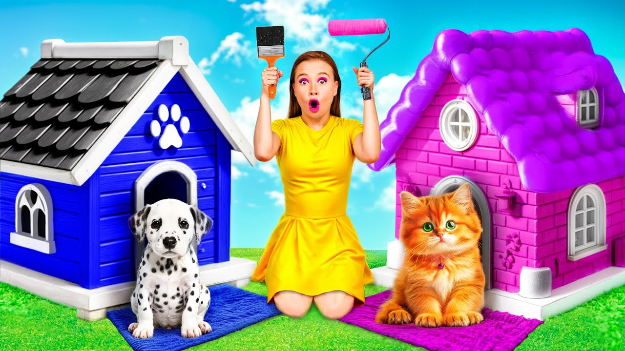 Строим Домики для Животных | Смешные Трюки с Животными от GoFun Challenge