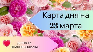 Карта дня на 23 марта. Таро прогноз для всех знаков зодиака. Тайм код.