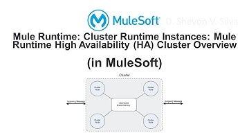 Mule Runtime: Cluster Runtime Instances:Mule Runtime High Availability Cluster Overview(in MuleSoft)