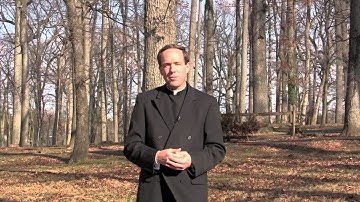 2nd Sunday of Advent