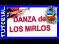 DANZA DE LOS MIRLOS en guitarra TUTORIAL - como tocar - acordes Tabs Cover