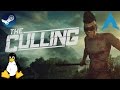 The Culling Early Access Linux Gameplay