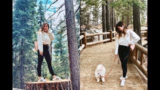 Du Lịch Ở Mỹ | Khám Phá Công Viên Hoang Dã Ở Mỹ | Sequoia National Park