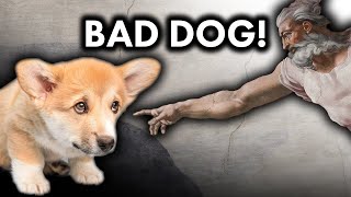 Why the Bible Hates Dogs (or does it?)