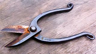 Maintenance of Gardening Scissors