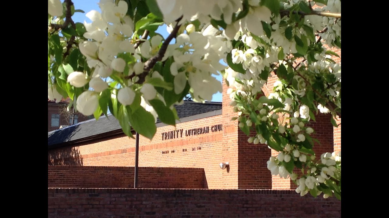 Sunday feb 7 2021 full worship service trinity lutheran church