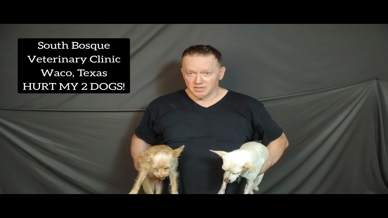 😢review South Bosque Veterinary Clinic in Waco, TX Hurt My 2 Dogs! 🐶 YouTube