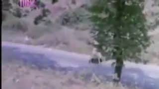 Sevdal Yelleri - Ferdi Tayfur - Müzik Dinle