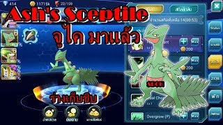 PoKe SaGa #119 | จูไค Ash's Sceptile | SBCH