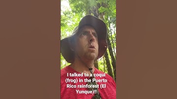 Thumbnail of I talked to a Coqui in El Yunque, Puerto Rico!