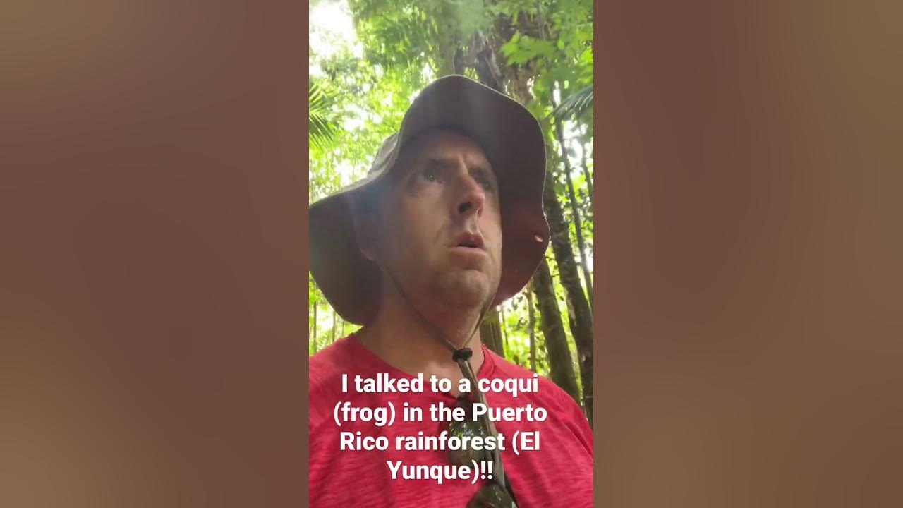 I talked to a Coqui in El Yunque, Puerto Rico! I talked to a Coqui in El Yunque, Puerto Rico!