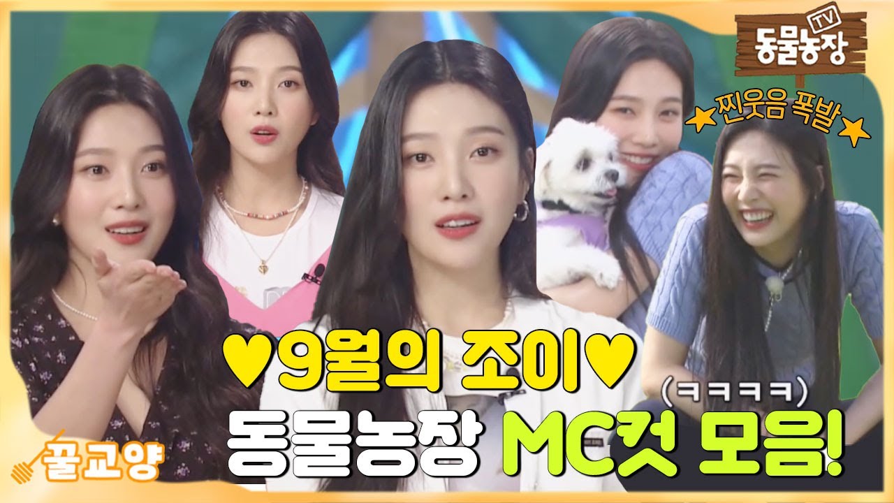 [꿀교양] 😊 찐웃음 가득한 9월의 조이 몰아보기! I TV동물농장 (Animal Farm) | SBS Story