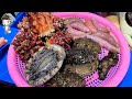 Assorted Seafood Sashimi Korean Street Food 해물모듬회 포항 죽도 수산시장 04 Pohang juk do seafood market