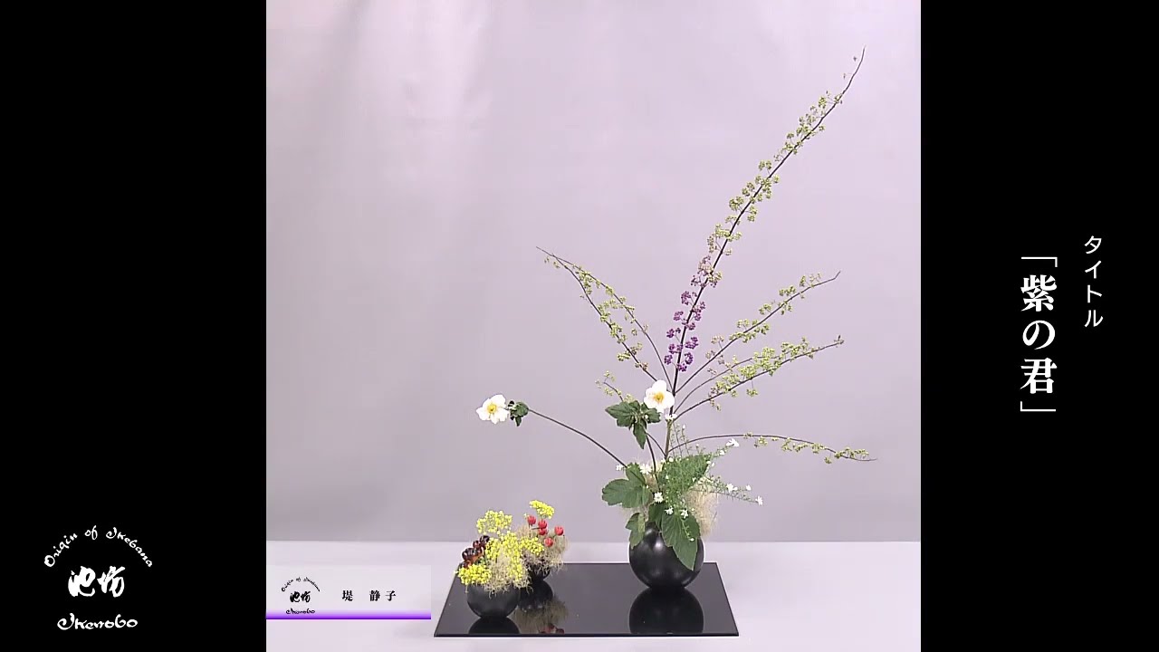 星のいけばな maxresdefault.jpg?sqp=-