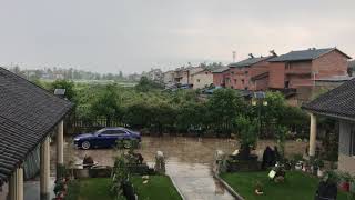 White Noise in Southern Rural Area