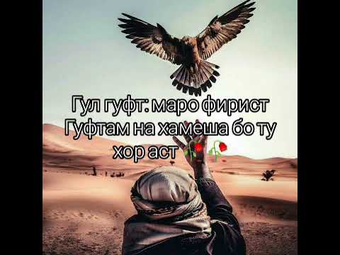 ЗОДРУЗ  МУБОРАК