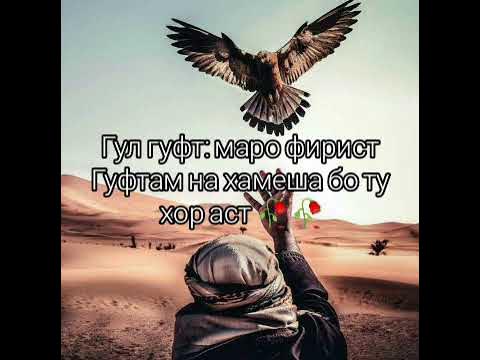 ЗОДРУЗ МУБОРАК - YouTube