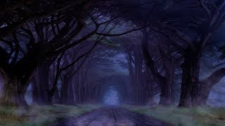 Dark Lullaby Music - Echoes in the Night