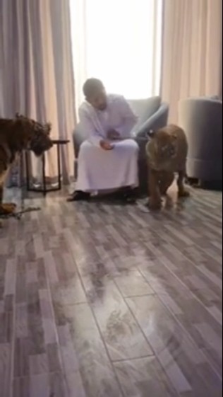 anjing dan sampah #lion #dangdut #shorts