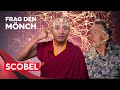 Warum Meditieren glücklich macht | Gert Scobel & Mingyur Rinpoche