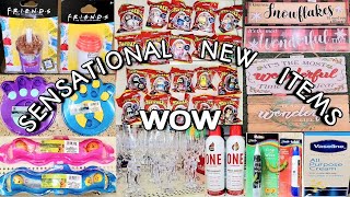 Come With Me To 2 Dollar Trees | SENSATIONAL NEW ITEMS | UNBELIEVABLE Nov 13