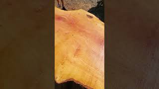 Beautiful Burly Sycamore Live Edge Slab