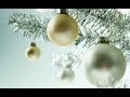 Miniature de la vidéo de la chanson O Christmas Tree (Mon Beau Sapin)