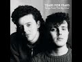 Tears for fears everybody wants to rule the world