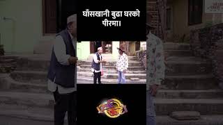 घाँसखानी बुढा घरको पीरमा। || Nepali Comedy || Media Hub Official
