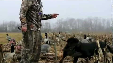 Waterfowl Hunting with Capt. Tom Cornicelli of Back Bay Outfitter