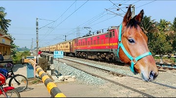 Viral MAD HORSE Headed Aggressive Intercity Express Dangerous & Furious Moving Out At Railgate