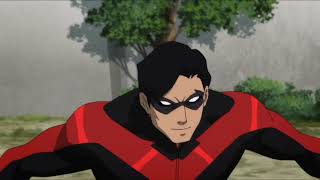 DCAU Nightwing Fight Compilation