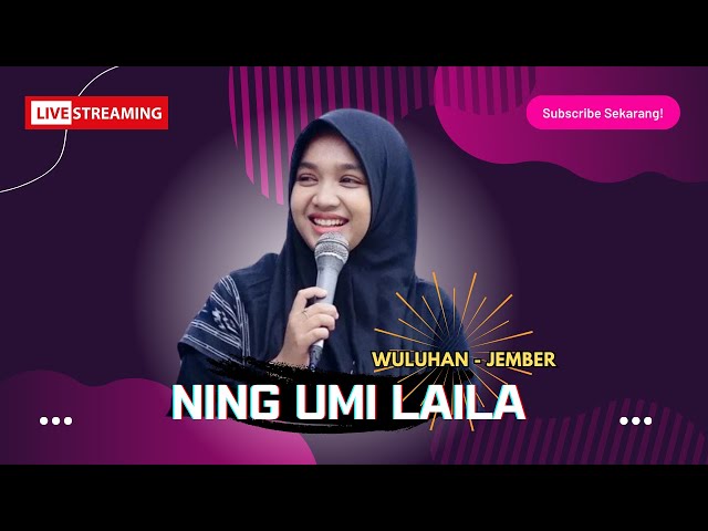 NING UMI LAILA TERBARU 2024 Live Gondosari Tamansari  Wuluhan Jember class=