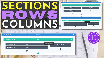 Rows, Sections & Columns in Divi Theme