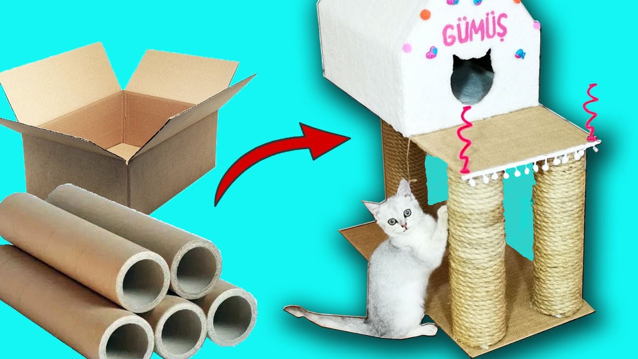 Karton Kutu Ve Rulolarla Kedi Evi Turn Cardboard Box Into Cat House Youtube Kedi Evi Kedi Kutular