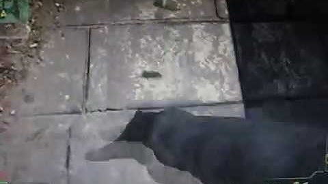 MW3 Gameplay Resistance L86 LSW