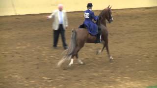 Stevie Riding Sparky