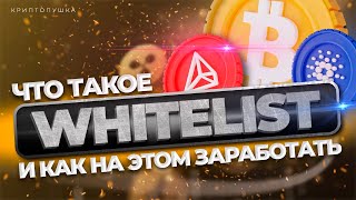 ЧТО ТАКОЕ WHITELIST?📄 ГДЕ ИСКАТЬ АКТУАЛЬНЫЕ WL?🤔 ИНСТРУКЦИЯ ПО ЗАПОЛНЕНИЮ ВАЙТЛИСТА📝