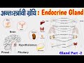 Endocrine Gland Part 2 | अंतःस्रावी ग्रंथियां | Endocrine System Biology | Rajiv competitive classes