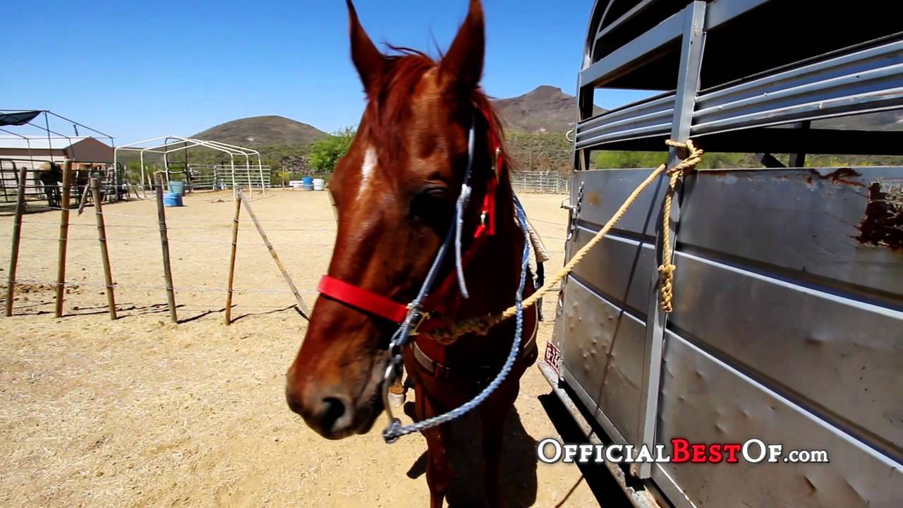 Best Horseback Riding in Arizona 2011 Spur Cross Stables YouTube