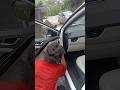 Car washing tricks and tips | car washing centre #carcleaning #carwash #shorts #short