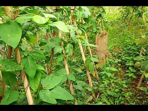 DJ TIKTOK SLOW 2022 FULL BASS - DJ BENANG MEGGY Z - DJ MAHAL MEGGY Z