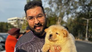 Onkar ne liya New Dog ? 😱