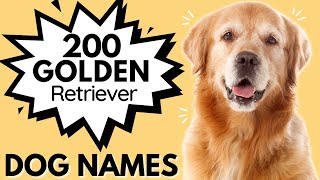 200 GOLDEN RETRIEVER Dog Names | Male and Female Dog Names For Your Golden Retriever