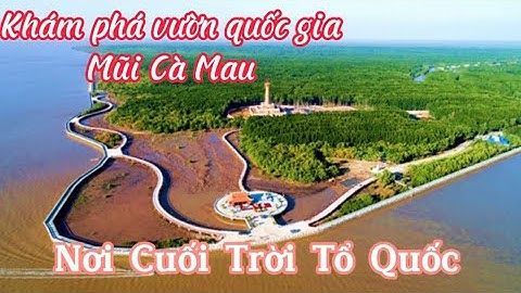 Khám phá đất mũi Cà Mau-Vùng đất cực nam của tổ quốc