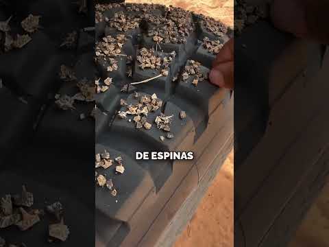 Así Resisten Los Niños Sin Zapatos en África