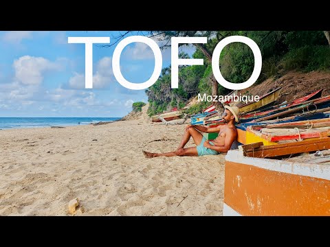 TOFO MOZAMBIQUE The only Tofo travel guide you'll ever need!