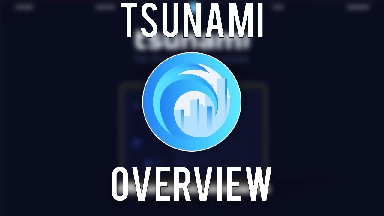 Tsunami Sneaker Cook Group overview