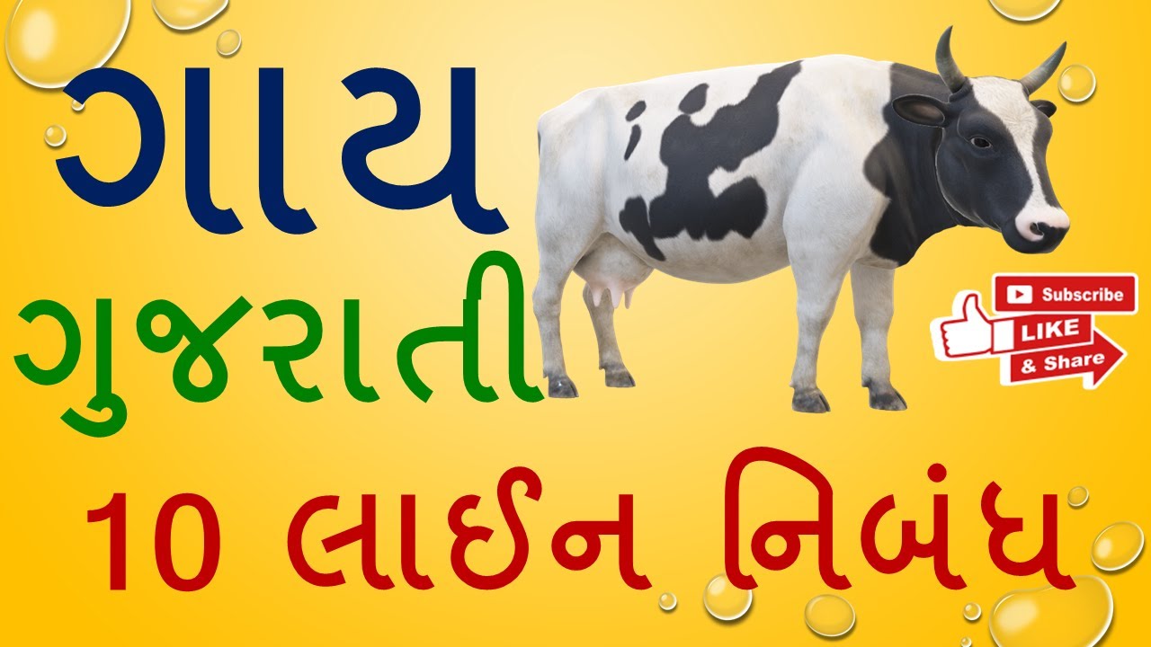 essay on cow in gujarati for class 3